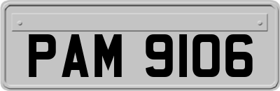 PAM9106