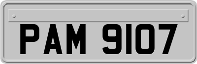 PAM9107