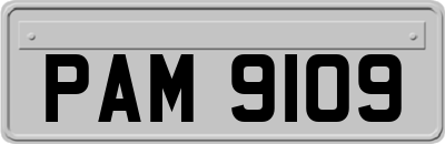 PAM9109