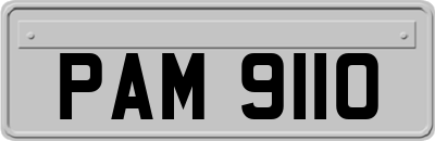 PAM9110