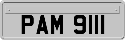 PAM9111