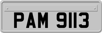 PAM9113