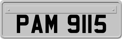 PAM9115