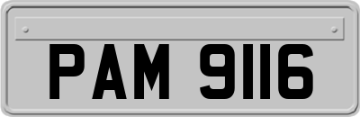 PAM9116