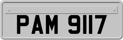 PAM9117