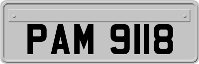 PAM9118