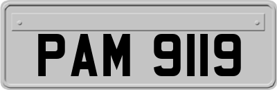 PAM9119