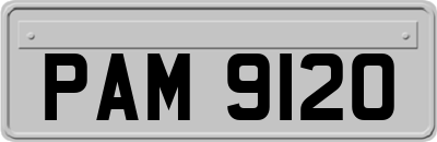 PAM9120