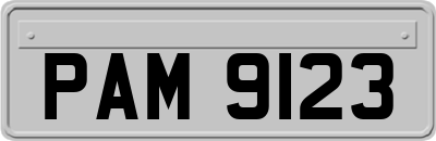 PAM9123