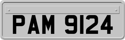 PAM9124