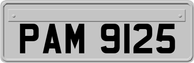 PAM9125