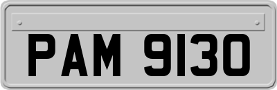 PAM9130