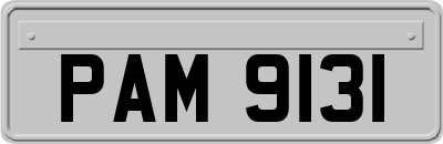 PAM9131