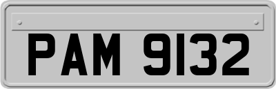 PAM9132