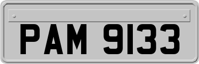 PAM9133