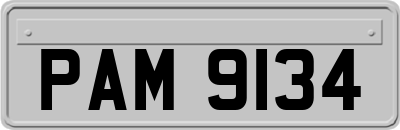 PAM9134