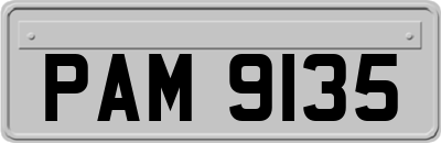 PAM9135