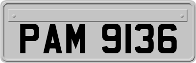PAM9136