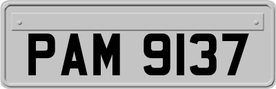 PAM9137