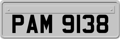 PAM9138