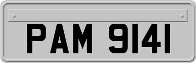 PAM9141