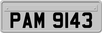 PAM9143