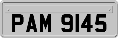 PAM9145