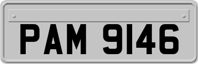 PAM9146