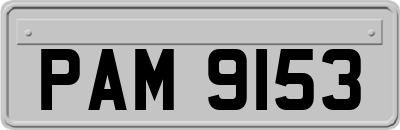 PAM9153