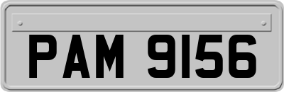 PAM9156
