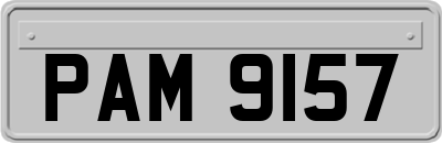 PAM9157