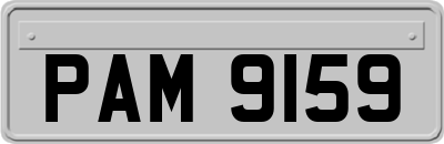 PAM9159