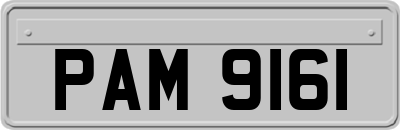 PAM9161