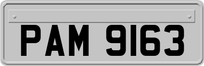 PAM9163