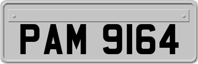 PAM9164