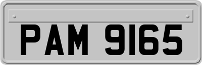 PAM9165