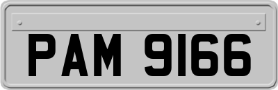 PAM9166