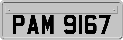 PAM9167