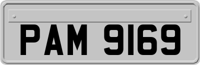PAM9169