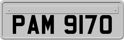PAM9170