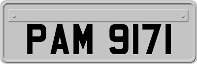 PAM9171