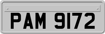 PAM9172