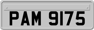 PAM9175