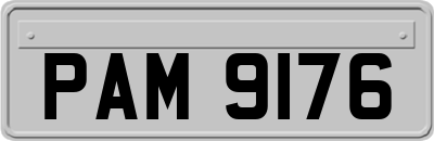 PAM9176