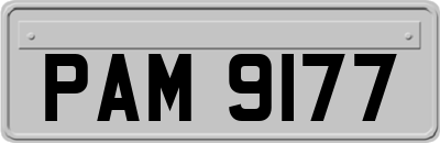 PAM9177