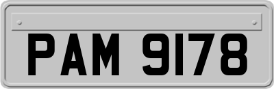 PAM9178