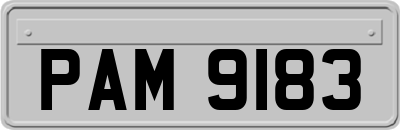 PAM9183