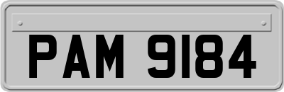 PAM9184