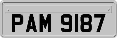 PAM9187