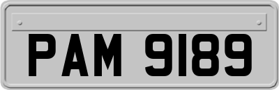 PAM9189